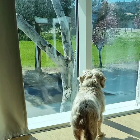 Otium Casa Vacanze-servizio Incluso A 250 Mt-struttura Pet Friendly Aparthotel