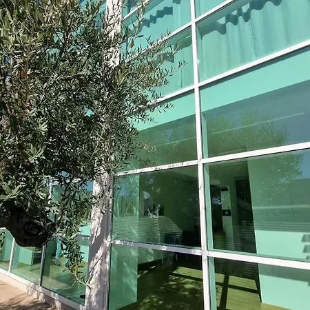 Otium Casa Vacanze-servizio Incluso A 250 Mt-struttura Pet Friendly 4* Giulianova