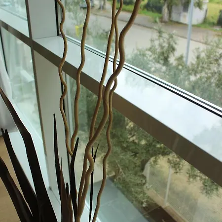 Aparthotel Otium Casa Vacanze-servizio Incluso A 250 Mt-struttura Pet Friendly Giulianova