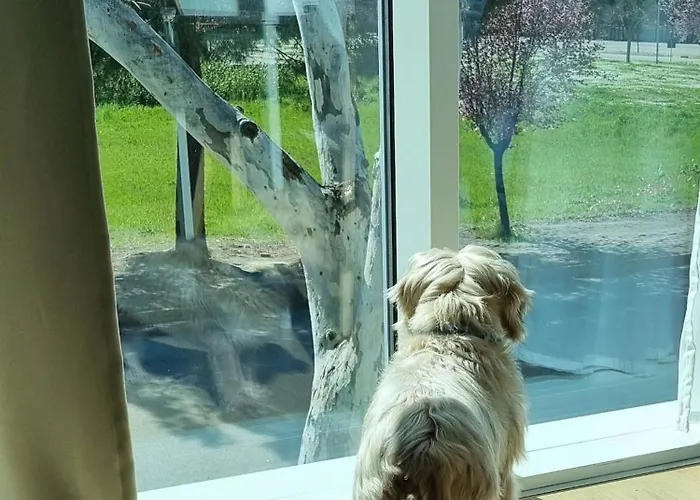 Otium Casa Vacanze-servizio Incluso A 250 Mt-struttura Pet Friendly Apartahotel